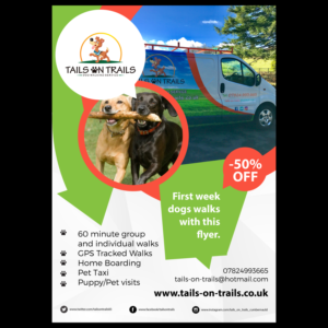 Flyer Design by Teos for TAILS ON TRAILS | Design: #14146238