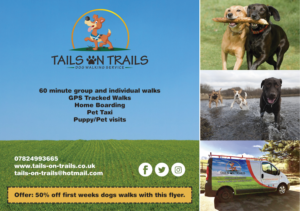 Tails on Trails is a dog walking service that offers home boarding and pet taxi | Flyer Design by Ana Paula Barros
