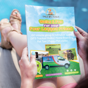 Flyer Design by Craftisauce for TAILS ON TRAILS | Design: #14140109
