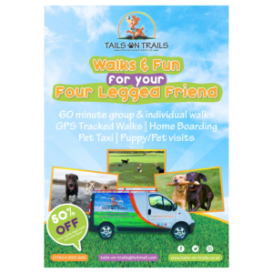 Flyer Design by Craftisauce for TAILS ON TRAILS | Design: #14140110
