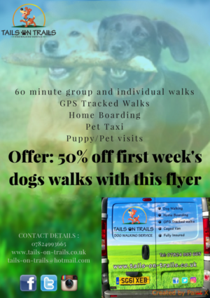 Flyer Design by p.jhangiani