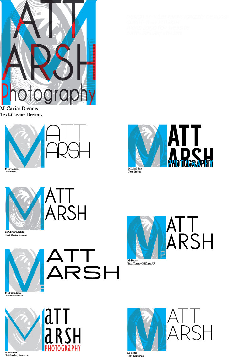 Logo Design by Grizzly Designs for matt marsh photography | Design #34616