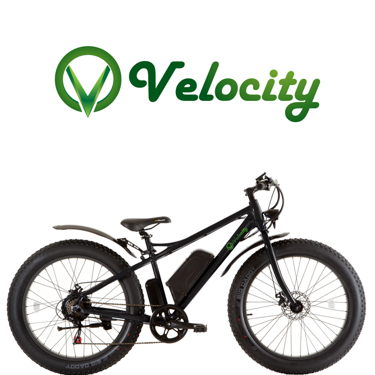 Design de Logo par DesignDUO pour eBike Centre Ltd | Design #14192908