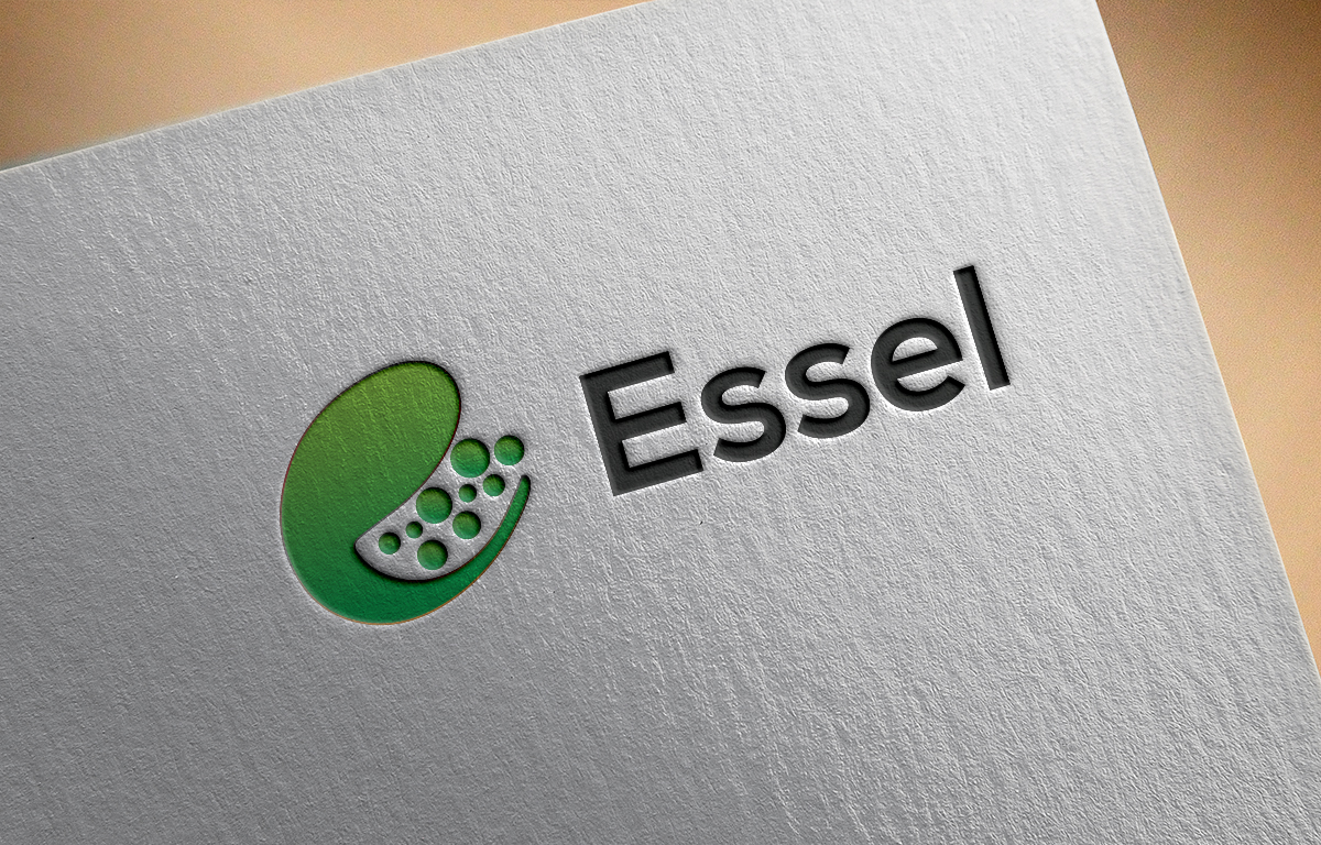 Logo Design by Zeeshan Ali for MOLLYS TOYS | Design #14057867