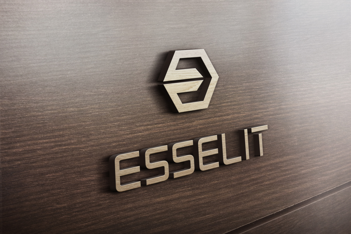 Logo Design by msalah23 for MOLLYS TOYS | Design #14066731