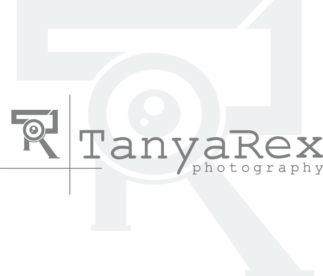 Logo Design by Sara 17 for this project | Design #20760812