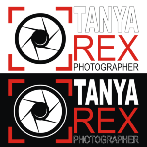 Logo Design by noxy
