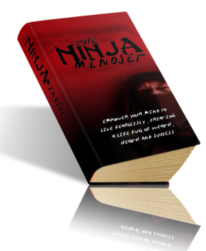 Book Cover Design by cp23ph