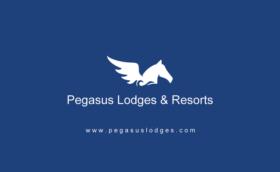 Business Card Design by diRtY.EMM for Pegasus Lodges & Resorts | Design #2533814