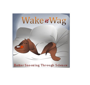 Logo Design by Apurwa