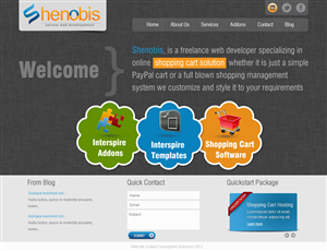 Web Developer Wordpress theme