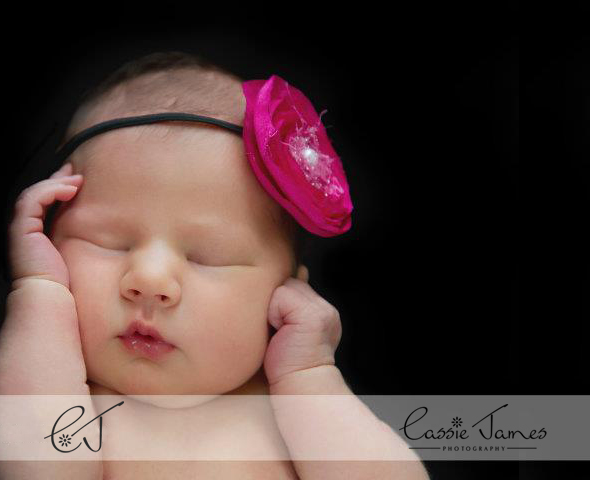 Logo Design by Omee for this project | Design #566435