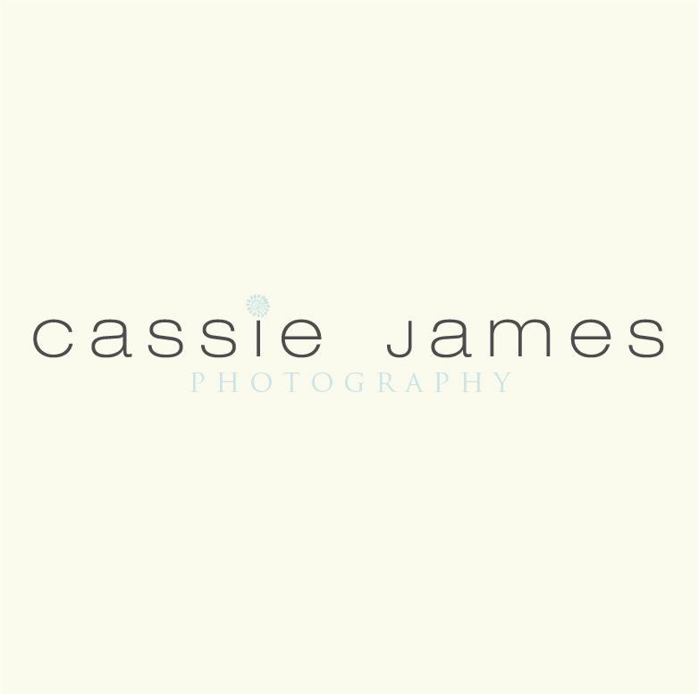 Logo Design by Design Possibilities for this project | Design #555503