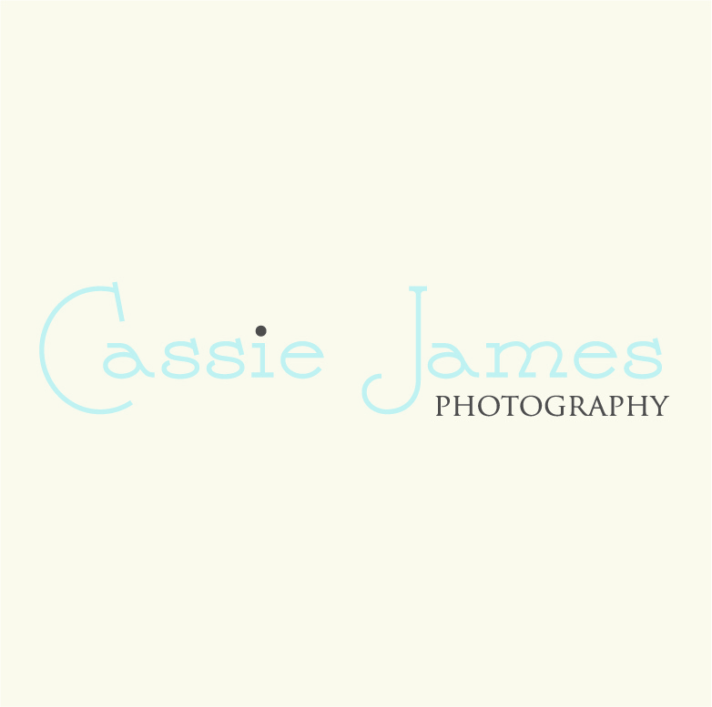 Logo Design by Design Possibilities for this project | Design #555504