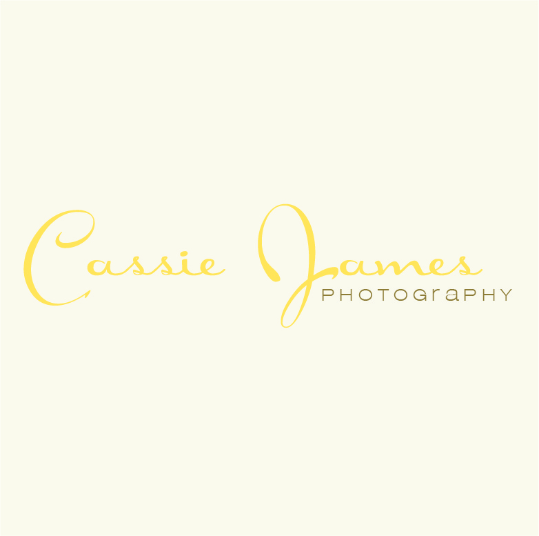 Logo Design by Design Possibilities for this project | Design #555516