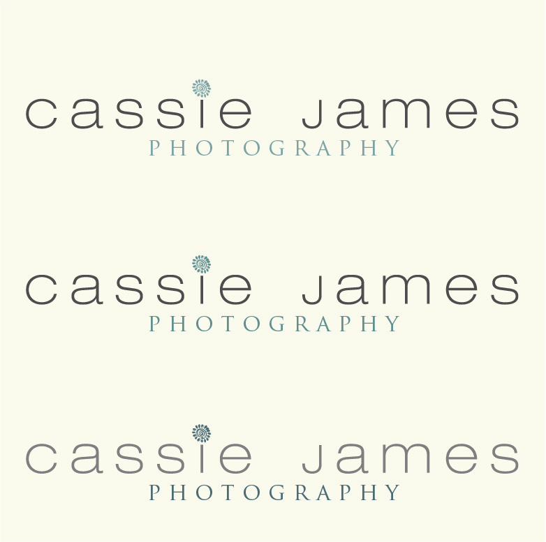 Logo Design by Design Possibilities for this project | Design #556576