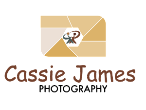 Logo Design by Spike