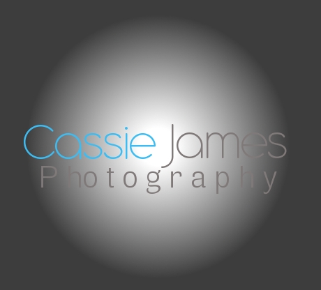 Logo Design by Modine Designs for this project | Design #551945