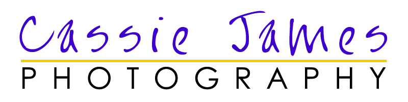 Diseño de Logo por Don Huevo para este proyecto | Diseño #551766