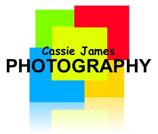 Logo Design by Alvin for this project | Design #561948