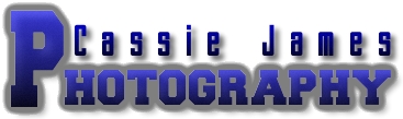Diseño de Logo por Alvin para este proyecto | Diseño #563124