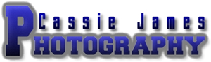 Logo Design by Alvin for this project | Design: #563124
