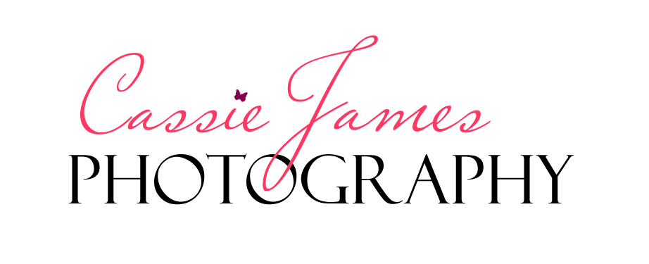 Logo Design by Kaptiv Media for this project | Design #561324