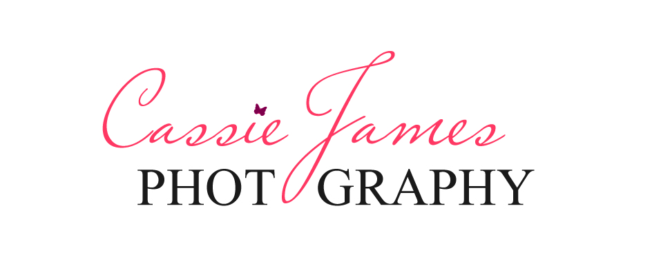 Logo Design by Kaptiv Media for this project | Design #561381