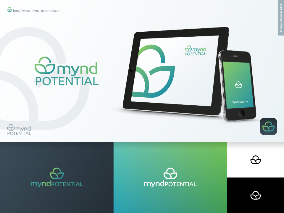 Logo-Design von Raoul Camion für FlowWorks | Design #14249872