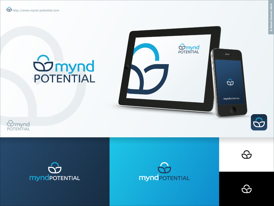 Diseño de Logo por Raoul Camion para FlowWorks | Diseño #14249879