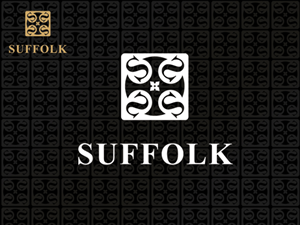 Logo Design by Stoica Alin Ilie