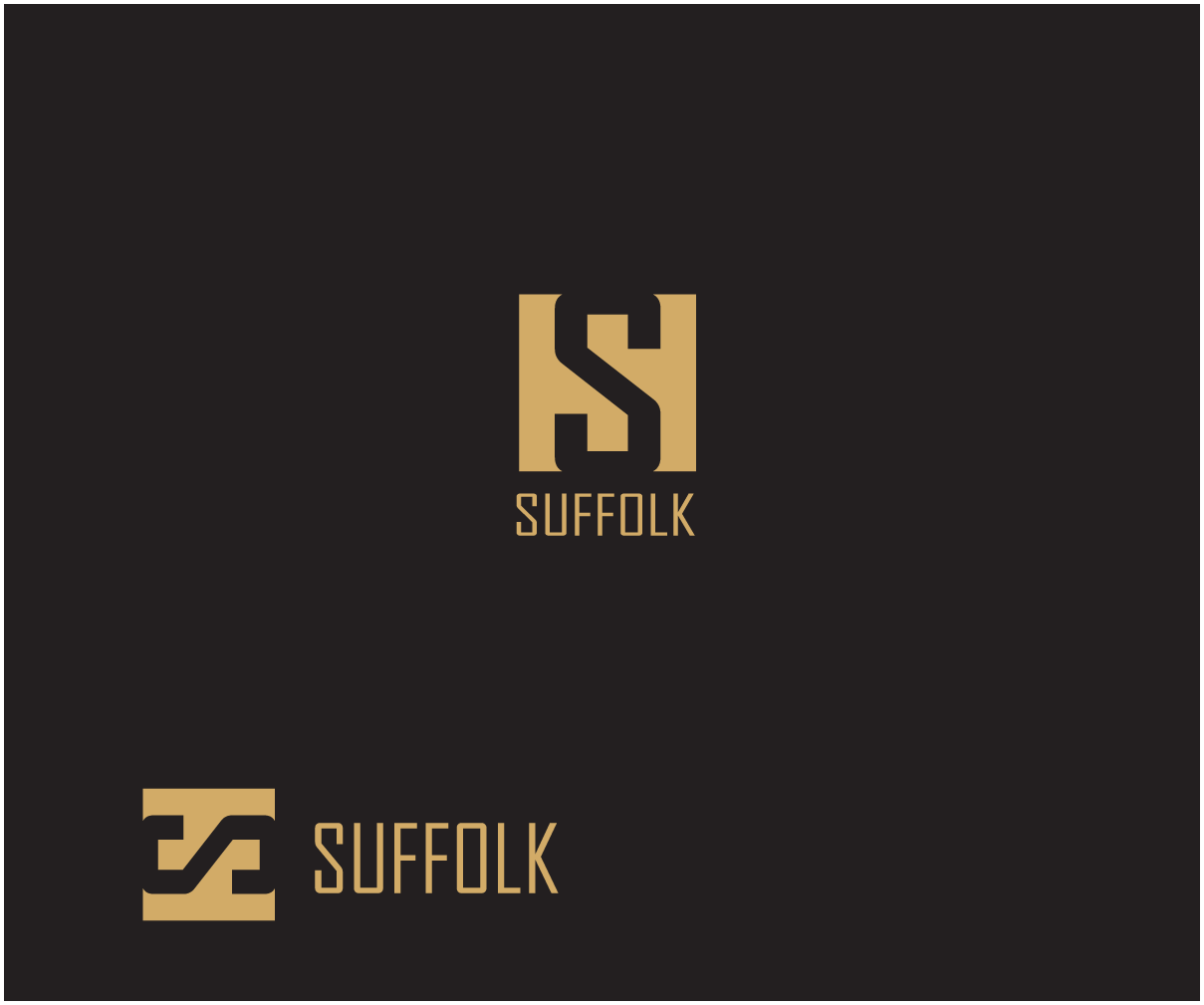 Diseño de Logo por bijuak para este proyecto | Diseño #2512195