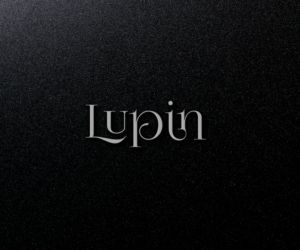 Logo Design by Kiran for NYX & MIN  | Design: #14103518