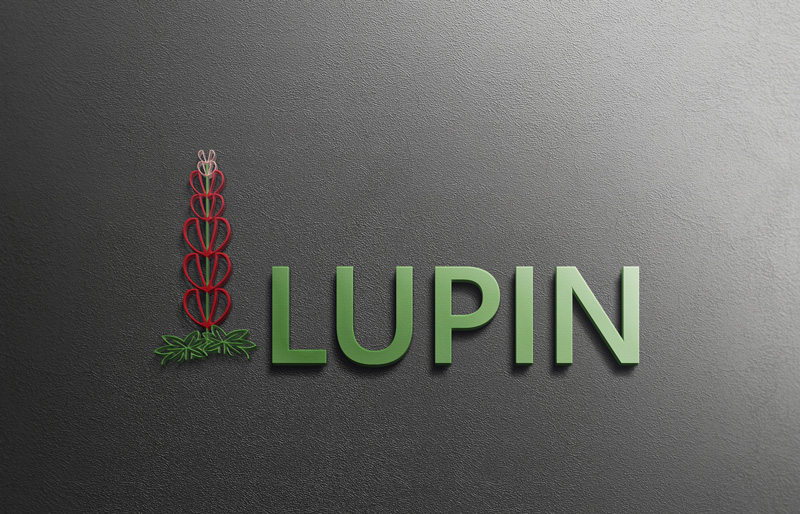 Logo Design by Top king  designer for NYX & MIN  | Design #14078245