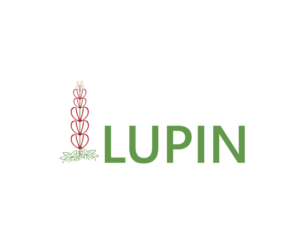 Logo Design by Top king  designer for NYX & MIN  | Design: #14078247