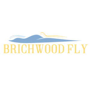 Logo Design by vixo