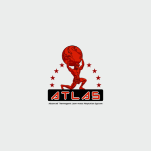 Logo-Design von desingman für dieses Projekt | Design #14102476