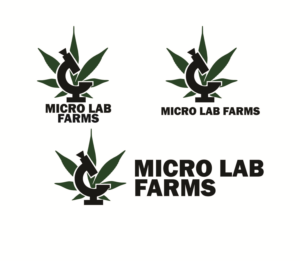 Logo Design by Awarna