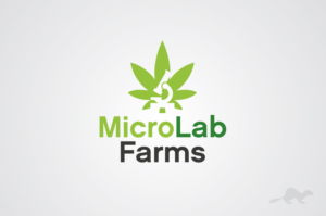 Logo Design by stealth_ferret