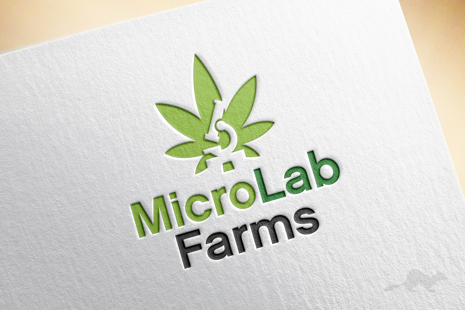 Logo Design by stealth_ferret for iHost Networks | Design #14103492