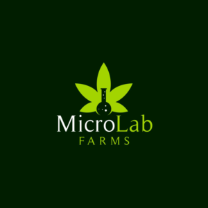Logo Design by Next Screen Infotech for iHost Networks | Design #14109650