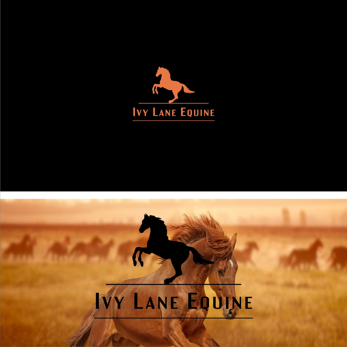 Logo-Design von DesignM für dieses Projekt | Design #14244381