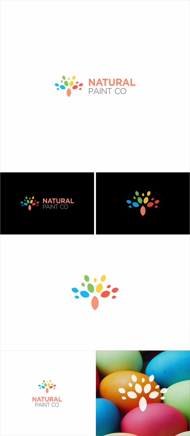 Logo Design by Naavyd for The Natural Paint Company | Design #14383882