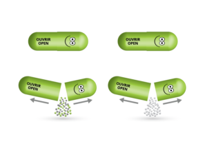 Illustration Design by LJE for this project | Design: #14145846
