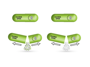 Illustration Design by LJE for this project | Design: #14225173