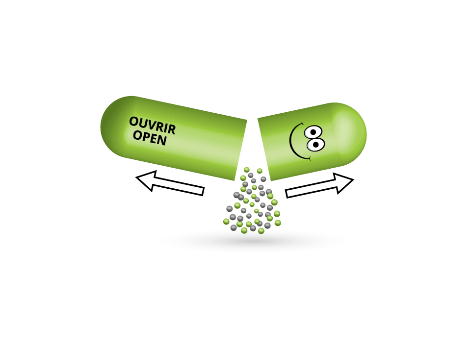 Illustration Design by LJE for this project | Design #14225176