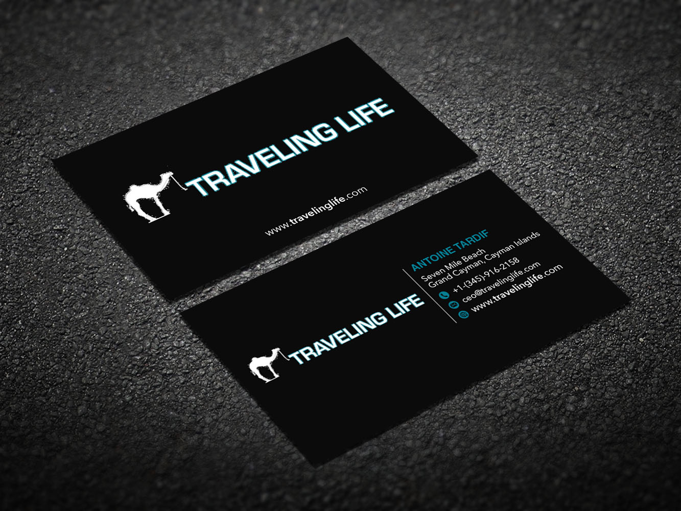 Business Card Design by Verified artistry for Go Marketing Inc | Design #14174492