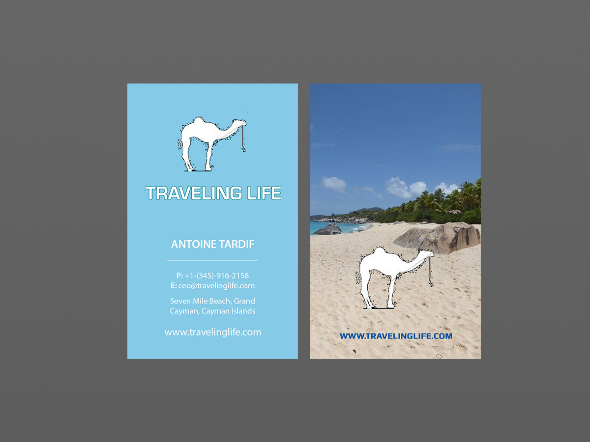 Diseño de Tarjeta de Presentación por Creations Box 2015 para Go Marketing Inc | Diseño #14154870
