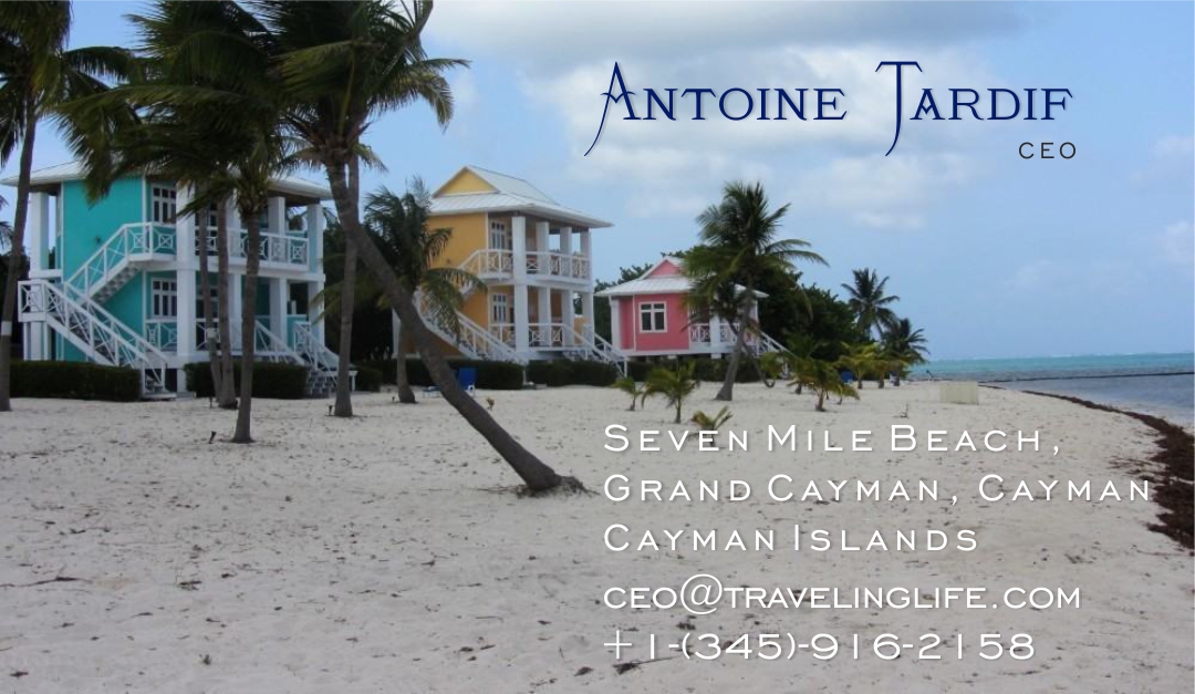 Business Card Design by e SOL2023 for Go Marketing Inc | Design #14207819