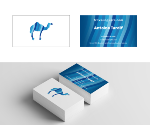 Business Card Design by pavloandpicasso